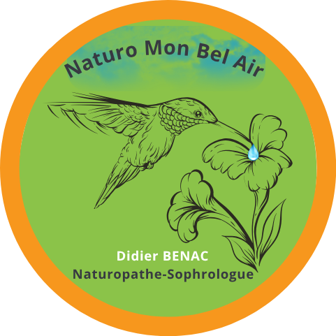 Logo original Naturo Mon Bel Air avec un colibri et une fleur